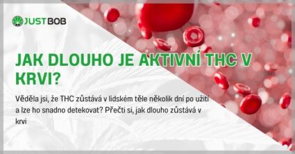 Jak dlouho je aktivní THC v krvi?