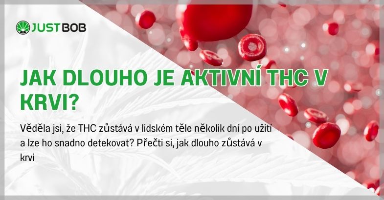Jak dlouho je aktivní THC v krvi?