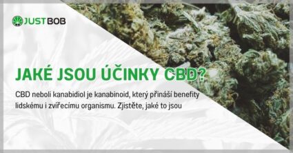 Jaké jsou účinky CBD?