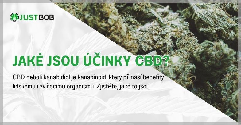 Jaké jsou účinky CBD?