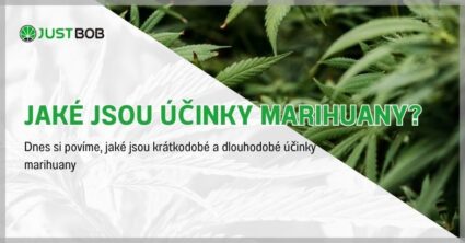 Jaké jsou účinky marihuany?