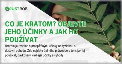 Co je Kratom? Objevte jeho účinky a jak ho používat