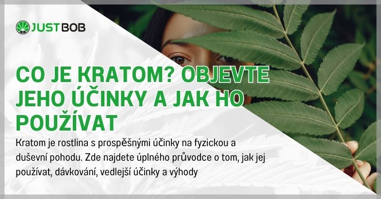 Co je Kratom? Objevte jeho účinky a jak ho používat