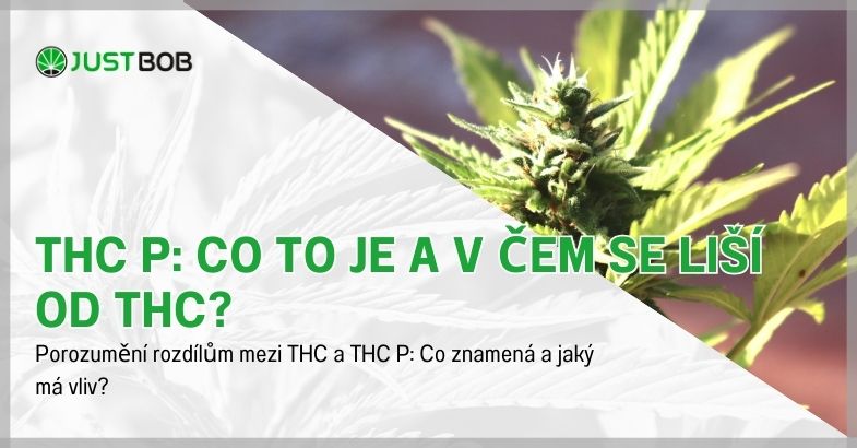 THC P: Co to je a v čem se liší od THC?